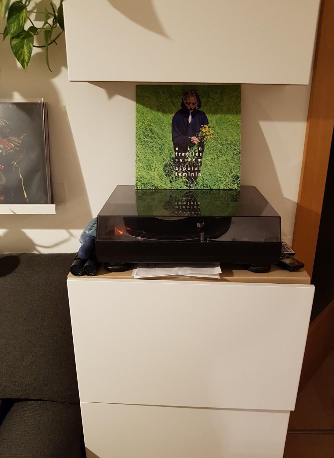 Klangwunder für 10 Euro