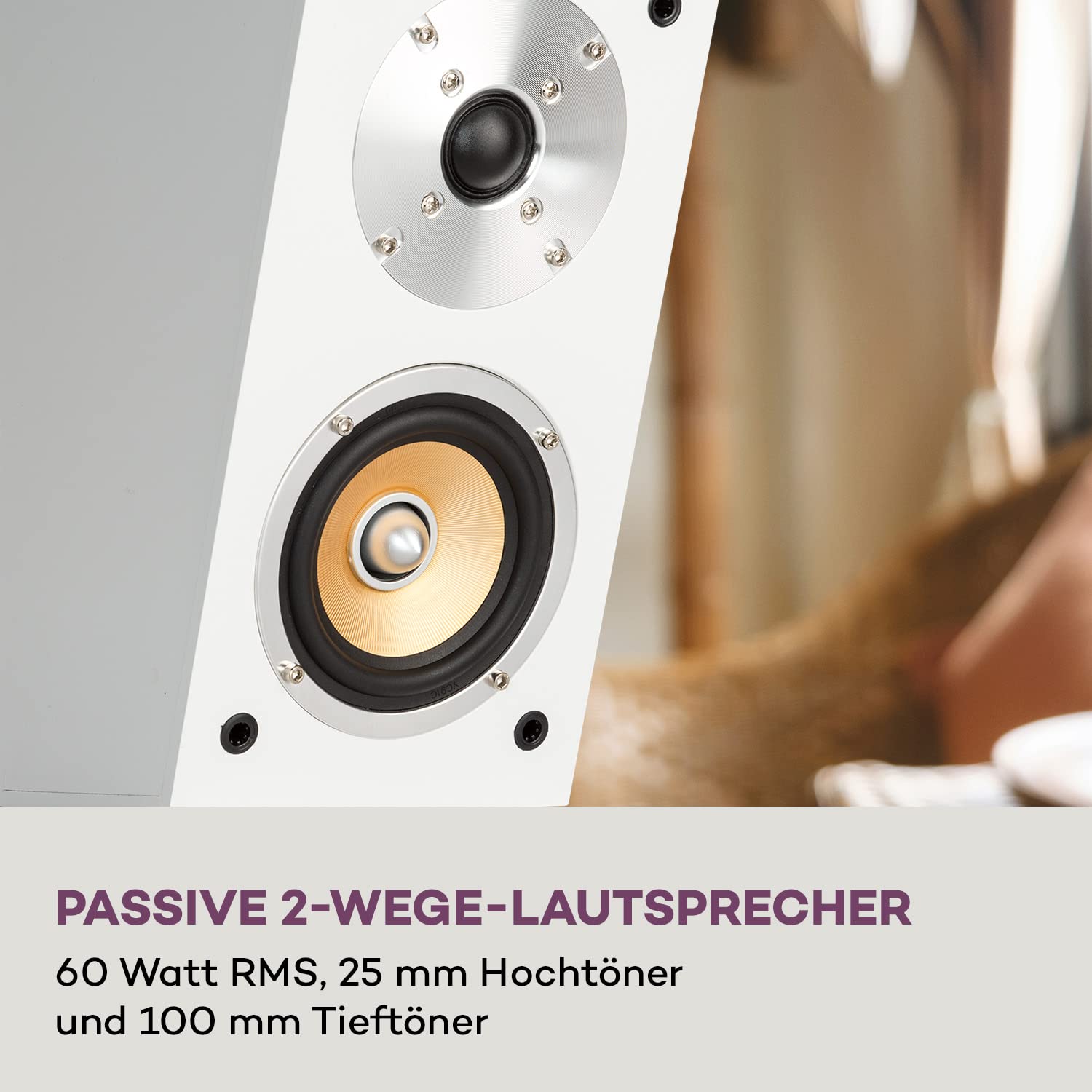 auna-two-hi-fi-lautsprecher-boxen-paar-passiv-100w-mit-60w-rms-subwoofer-holz-de image 2