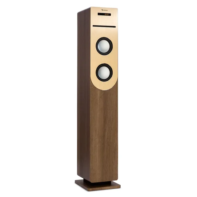 auna-sound-tower-standlautsprecher-mit-cd-fm-radio-bluetooth-s-ule image 1